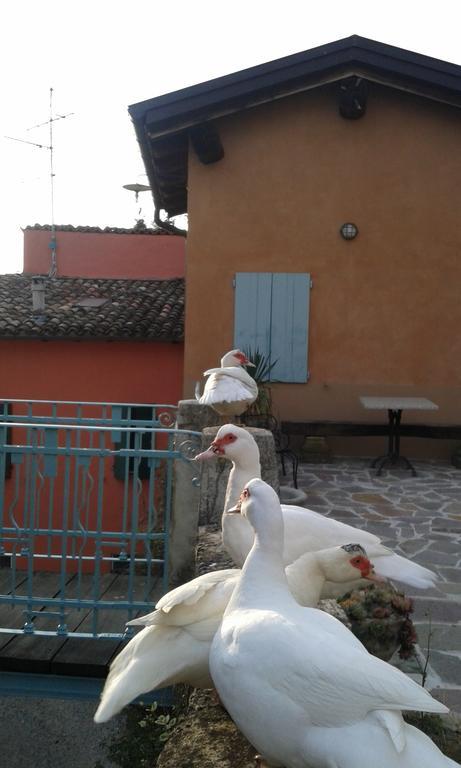 Agriturismo Il Gelso Traversetolo Exterior foto