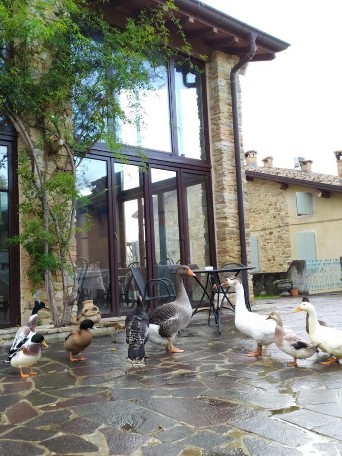 Agriturismo Il Gelso Traversetolo Exterior foto